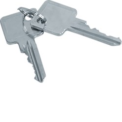 Set van 2 sleutels, voor profielhalfcilinder ZAY50994